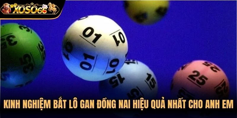 Kinh nghiệm bắt lô gan Đồng Nai hiệu quả nhất cho anh em